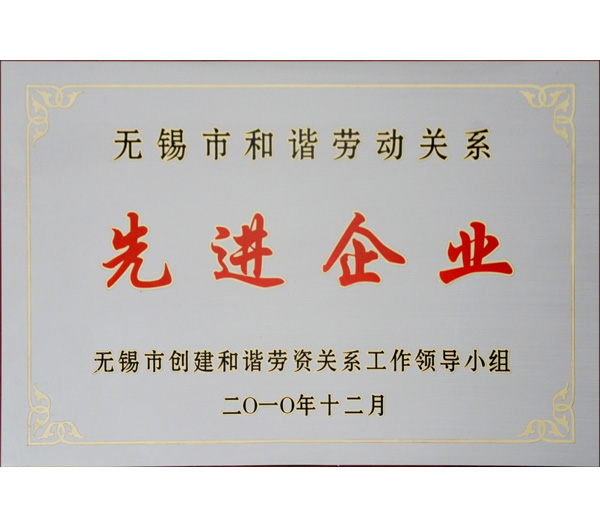 21 無錫市先進企業.jpg