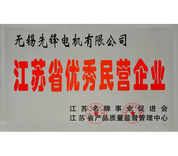 11 江蘇省優秀民營企業榮譽證書.jpg